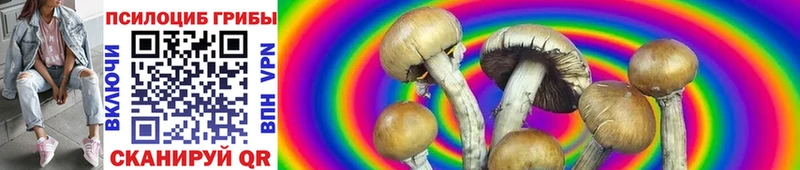 купить закладку  Тюкалинск  Галлюциногенные грибы MAGIC MUSHROOMS 